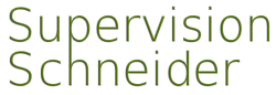 Supervision Schneider Logo